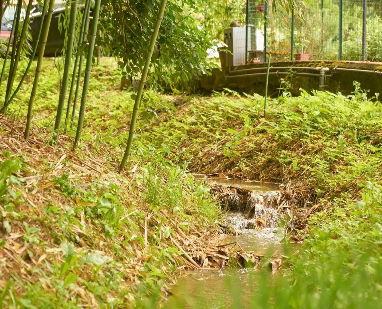Country House Cerasomma Lucca
